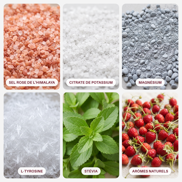 Les ingrédients : sel rose, citrate de potassium, magnésium, L-tyrosine, stévia, arÎmes naturels