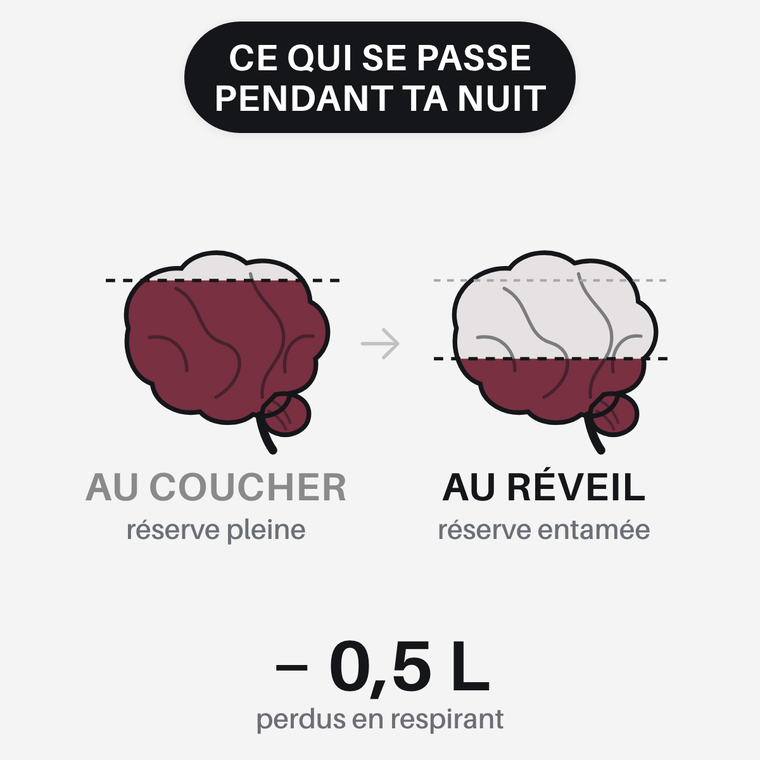 Ce qui se passe pendant la nuit : la réserve d'eau du cerveau descend