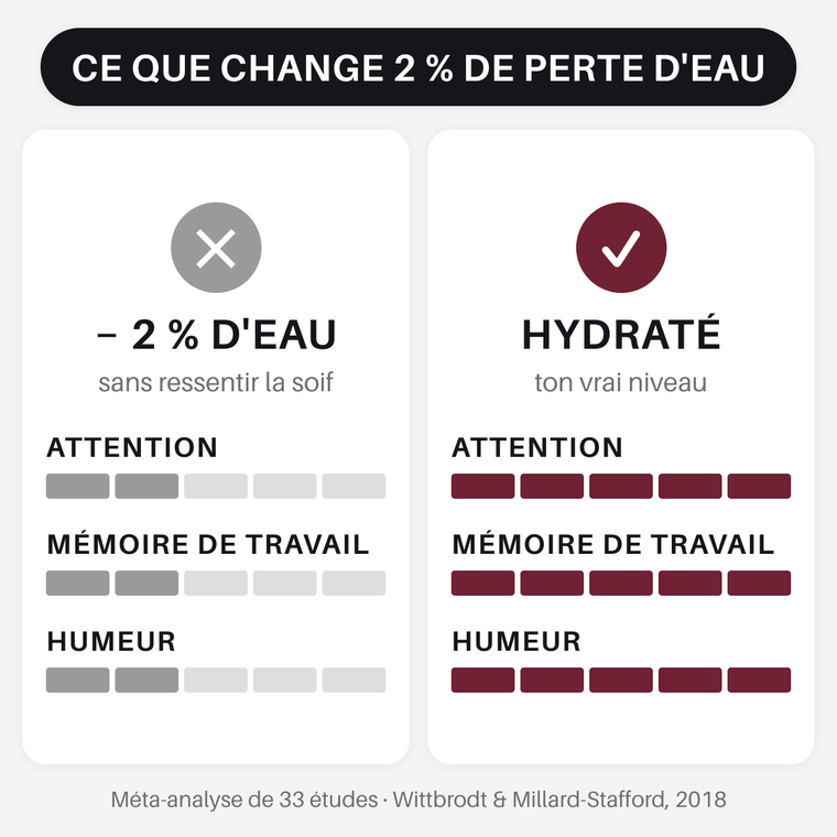 Ce que change 2 % de perte d'eau sur l'attention, la mémoire et l'humeur